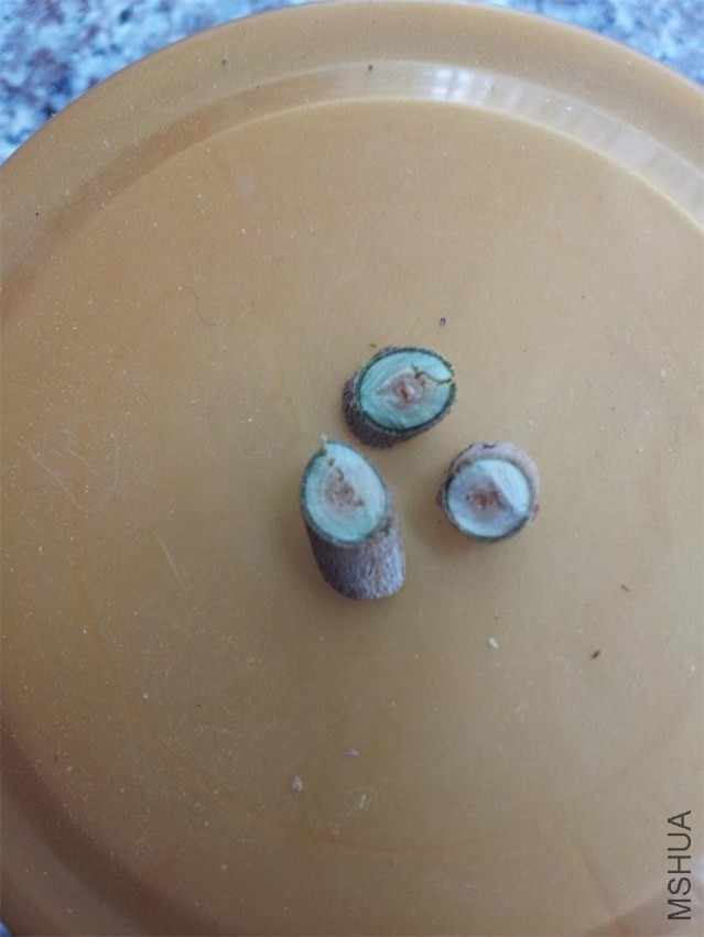 20140316_145024.jpg