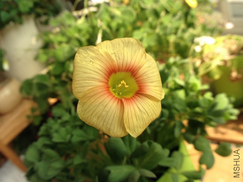 QQͼƬ20140317001134.jpg