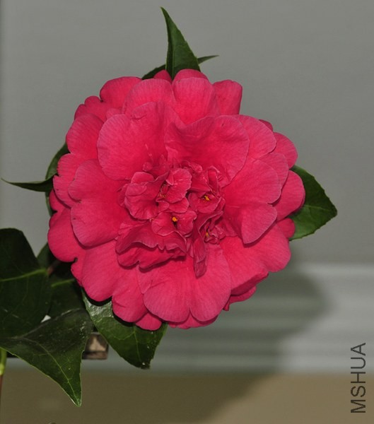 _DSC5071_edited-3.jpg