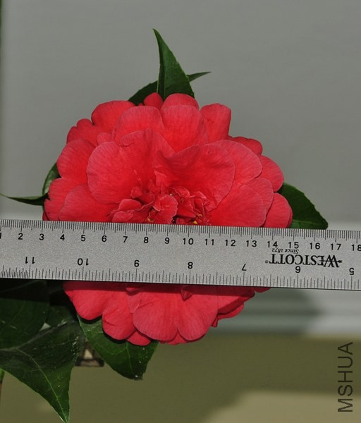 _DSC5074_edited-2.jpg