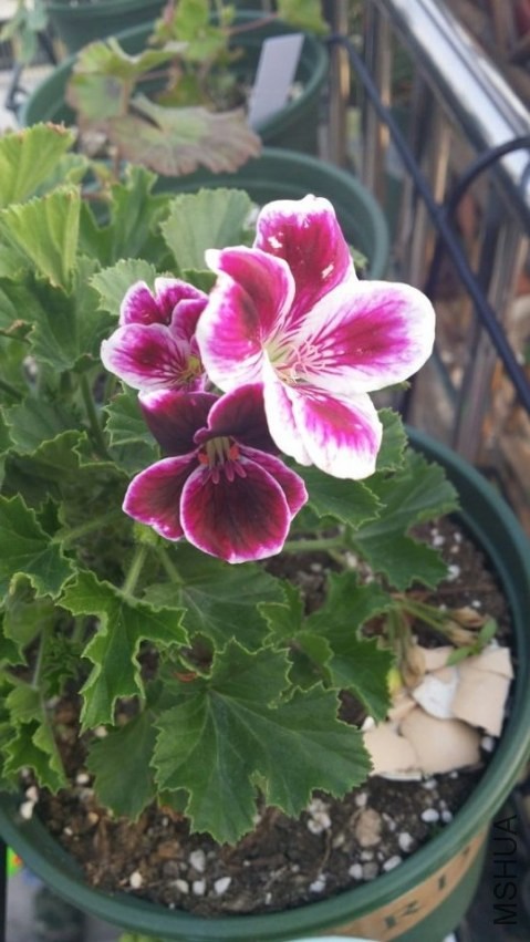 QQͼƬ20140317095505.jpg