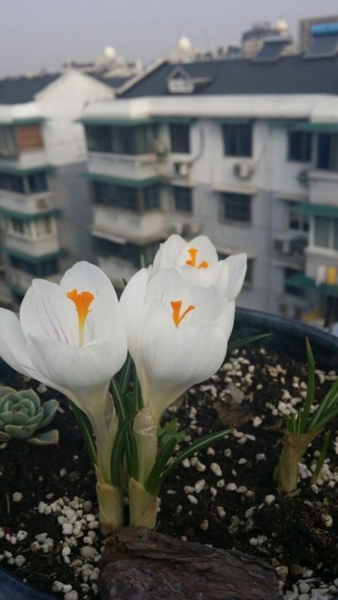 QQͼƬ20140317095521.jpg