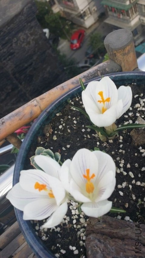 QQͼƬ20140317095532.jpg