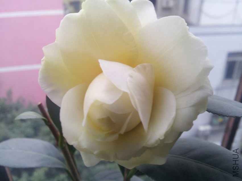20140316_151657.jpg