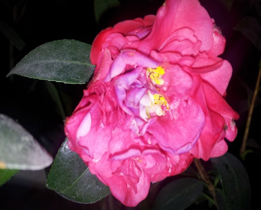20140316_215811.jpg