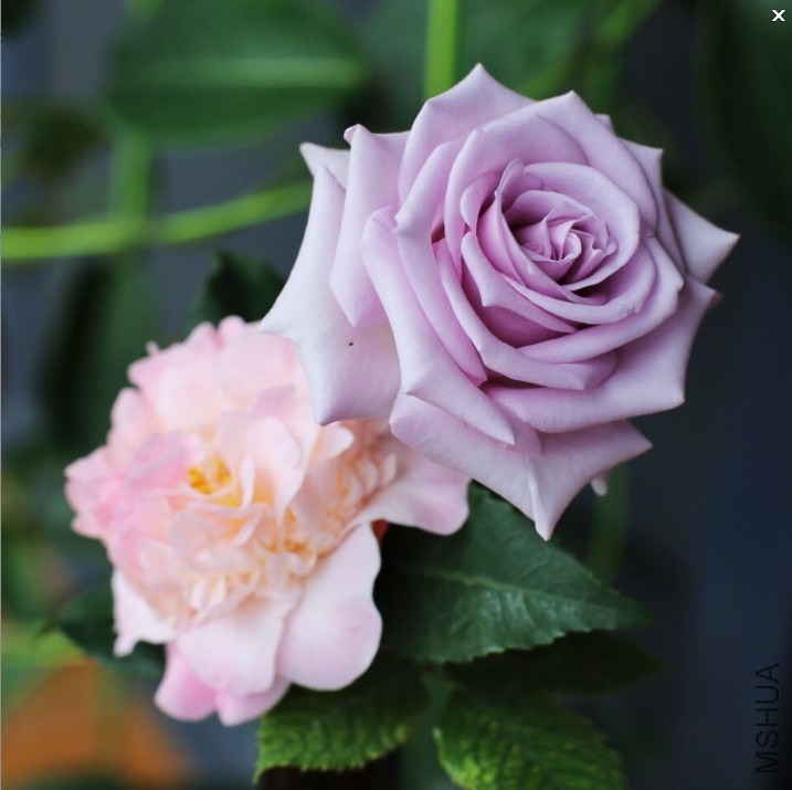 QQ��ͼ20140317144139.jpg