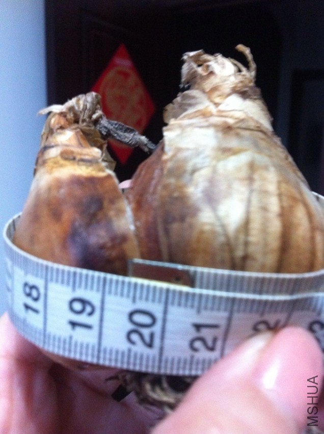 QQͼƬ20131205134449.jpg