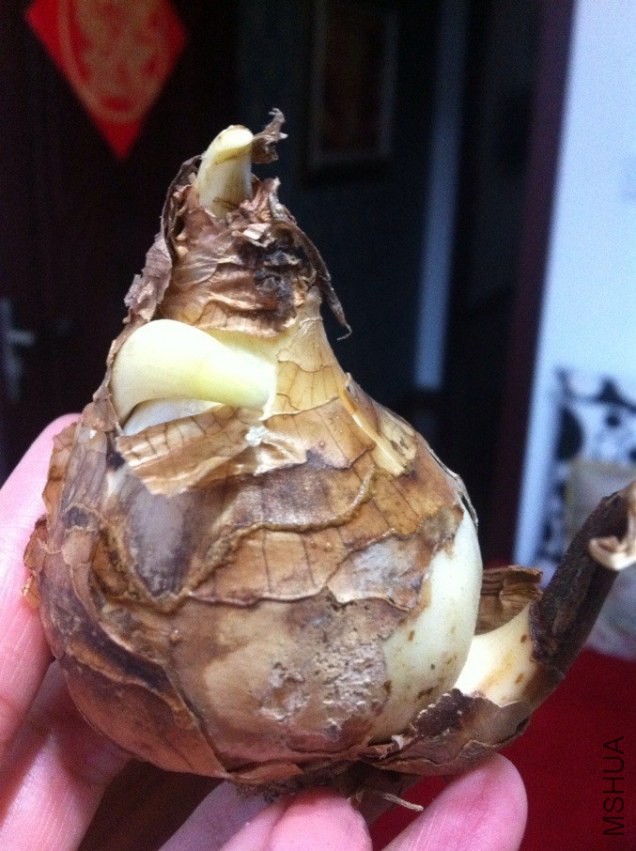 QQͼƬ20131205134458.jpg