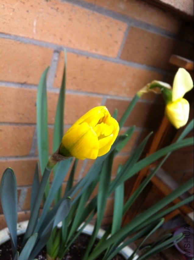 QQͼƬ20140317142954.jpg