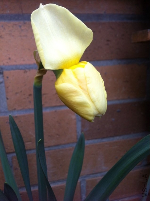 QQͼƬ20140317143004.jpg