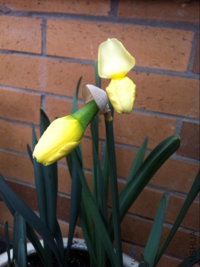 QQͼƬ20140317143008.jpg