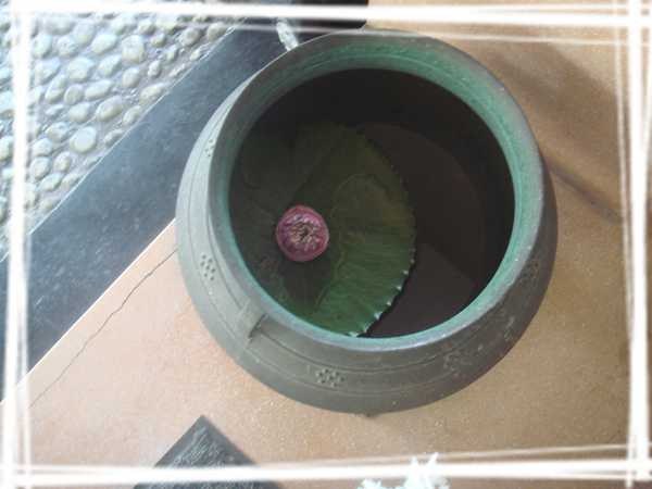 2013 ̩��026.jpg