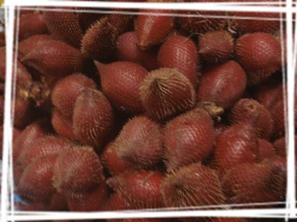 2013 ̩��031.jpg