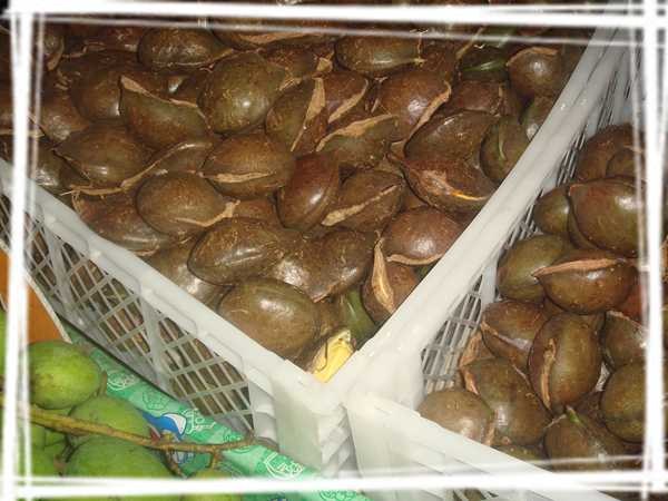 2013 ̩��033.jpg