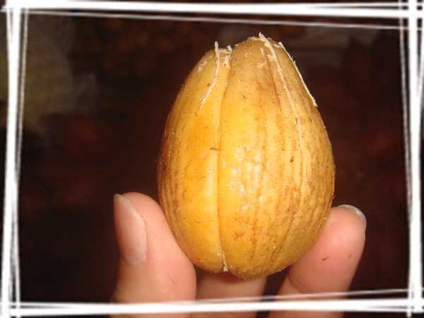 2013 ̩��034.jpg