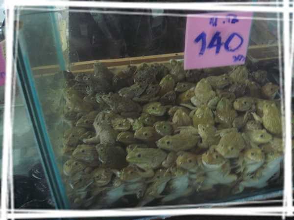 2013 ̩��045.jpg