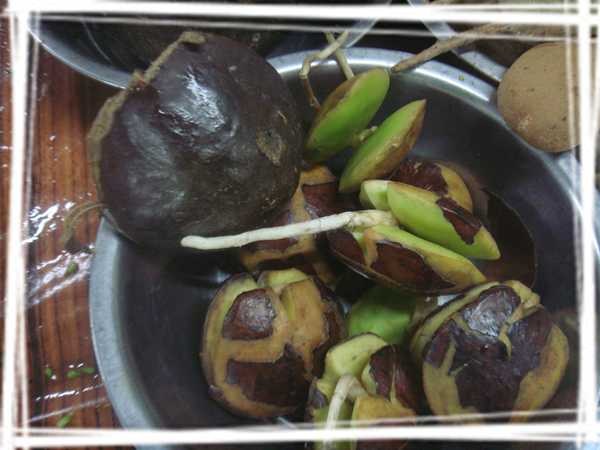 2013 ̩��036.jpg