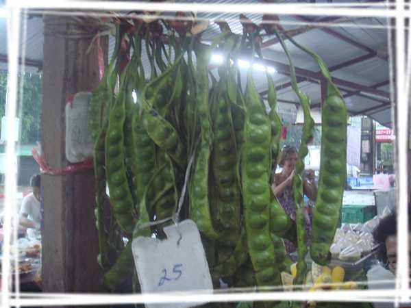 2013 ̩��037.jpg