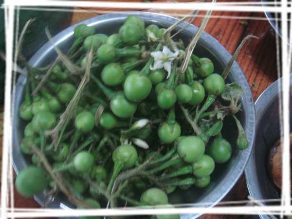 2013 ̩��038.jpg