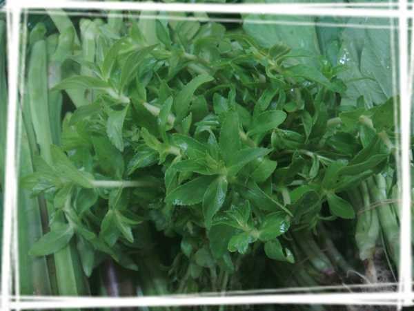 2013 ̩��039.jpg