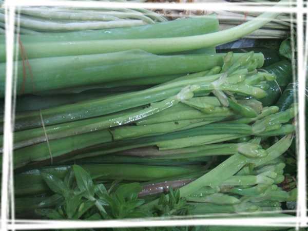 2013 ̩��040.jpg