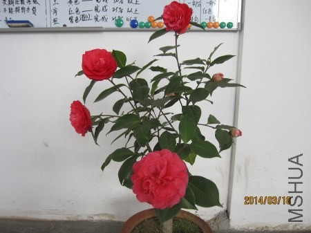 IMG_0882.jpg