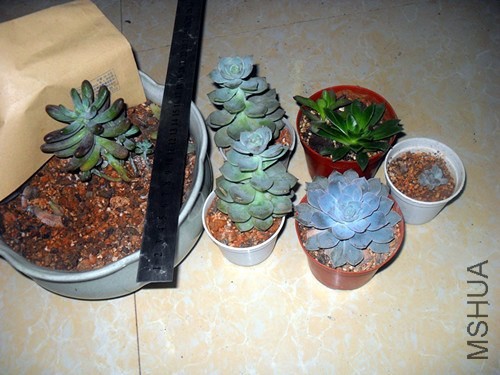 SDC14562_����.jpg