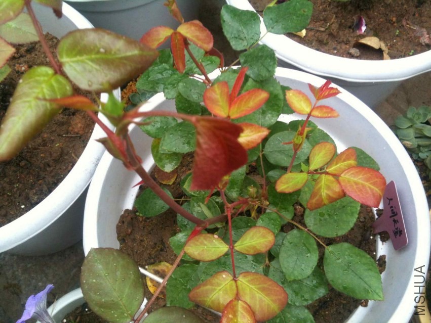 2014-03-19 083003.jpg