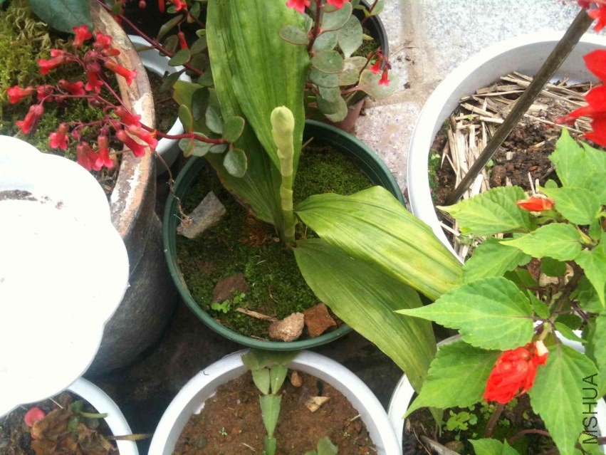 2014-03-19 082831.jpg