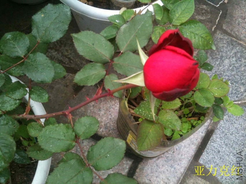 2014-03-19 082720.jpg