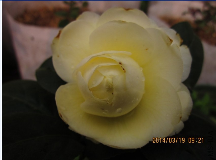 QQͼƬ20140319094219.jpg