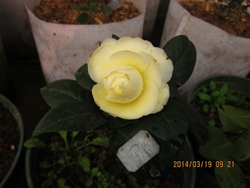QQͼƬ20140319094151.jpg