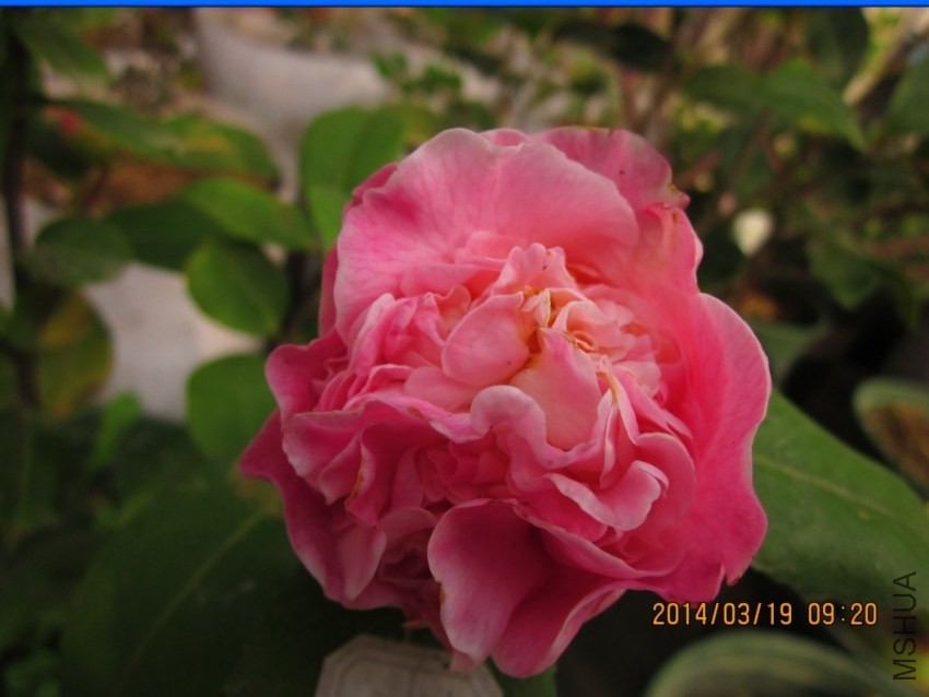 QQͼƬ20140317222402.jpg