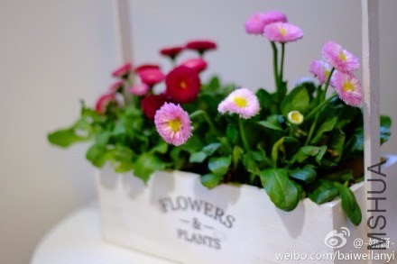 67b35f41jw1eehz6o95flj218g0tmdn6.jpg
