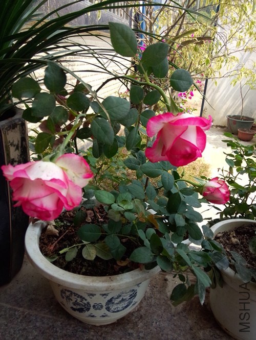 IMG20140319130203_����.jpg