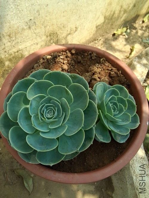 IMG20140319130127_����.jpg