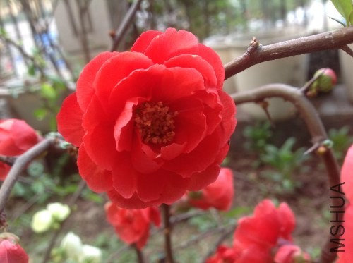 2014����6.jpg