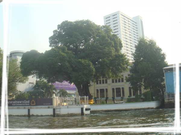 2013 ̩��253.jpg