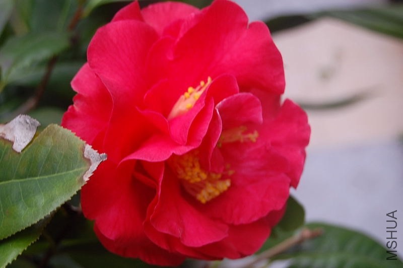 DSC_01040104.JPG