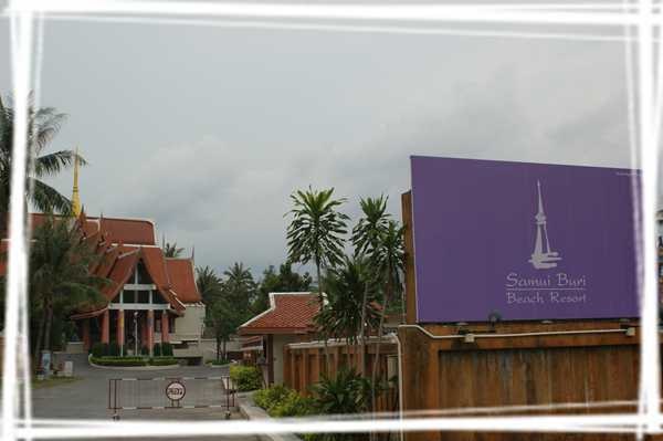 2013 ̩��311.jpg