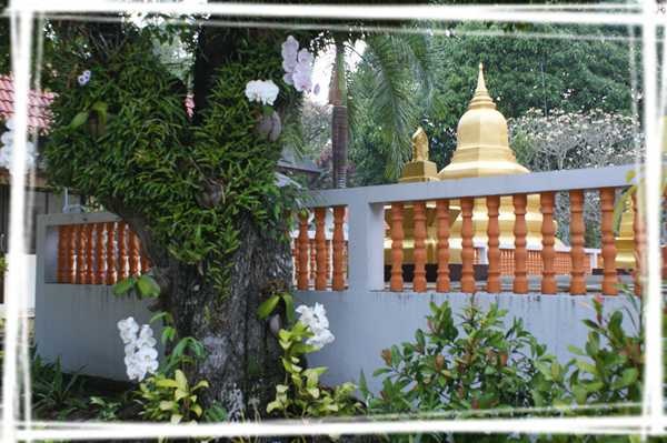 2013 ̩��318.jpg