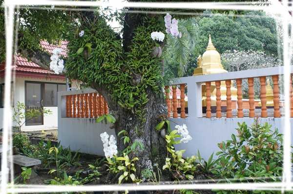 2013 ̩��319.jpg