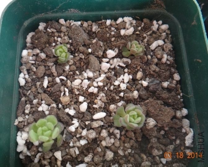 QQͼƬ20140320073834.jpg