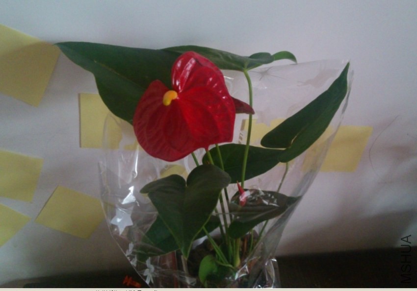 QQͼƬ20140320084456.jpg