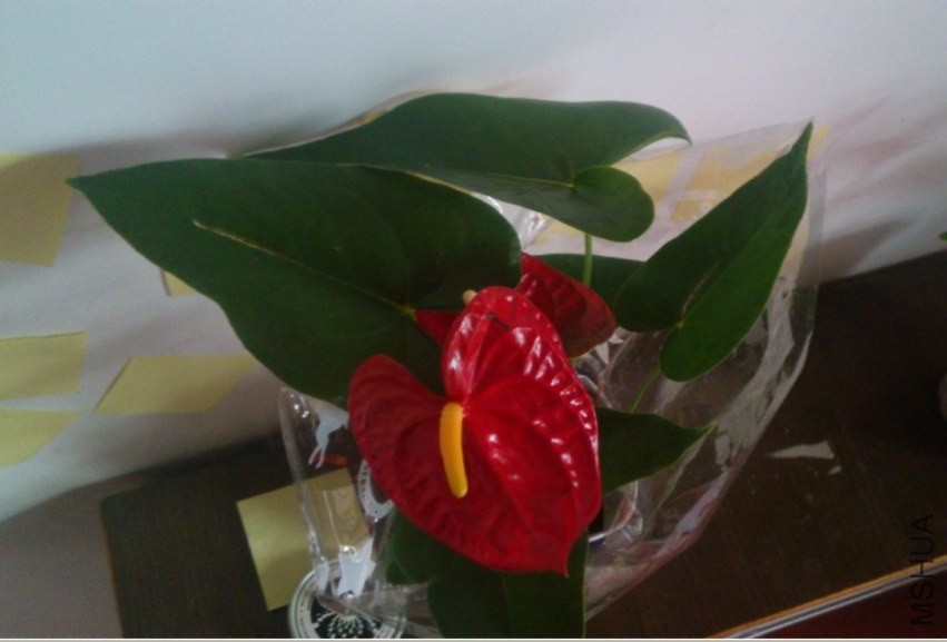 QQͼƬ20140320084512.jpg