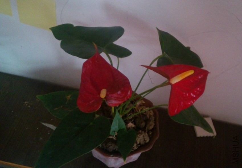 QQͼƬ20140320084524.jpg