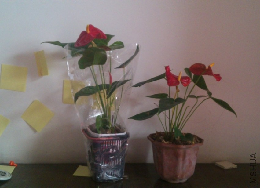 QQͼƬ20140320084539.jpg