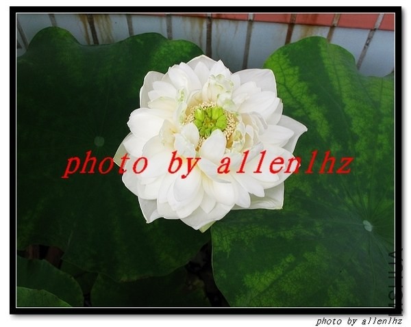 IMG_0833_nEO_IMG.jpg