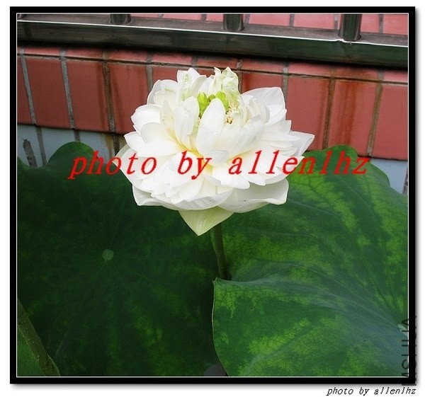 IMG_0832_nEO_IMGa.jpg