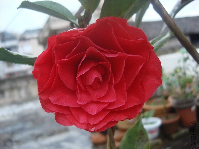 �뿪�� ����